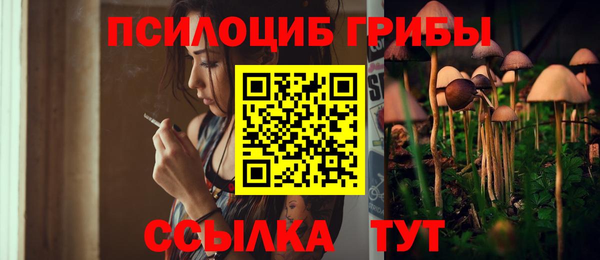 Псилоцибиновые грибы MAGIC MUSHROOMS  Вход с VPN  Миасс 